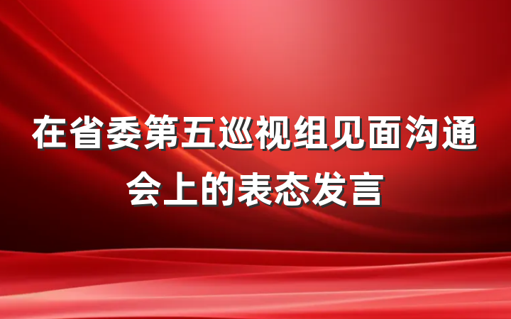 在省委第五巡视组见面沟通会上的表态发言
