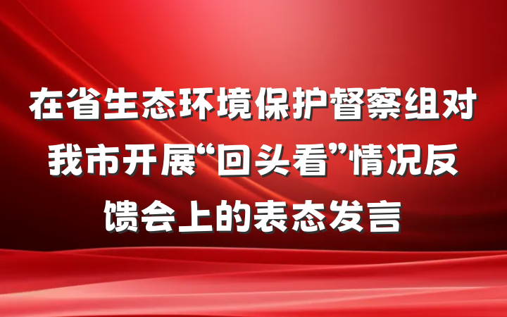 在省生态环境保护督察组对我市开展“回头看”情况反馈会上的表态发言