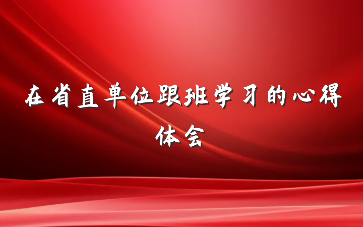 在省直单位跟班学习的心得体会