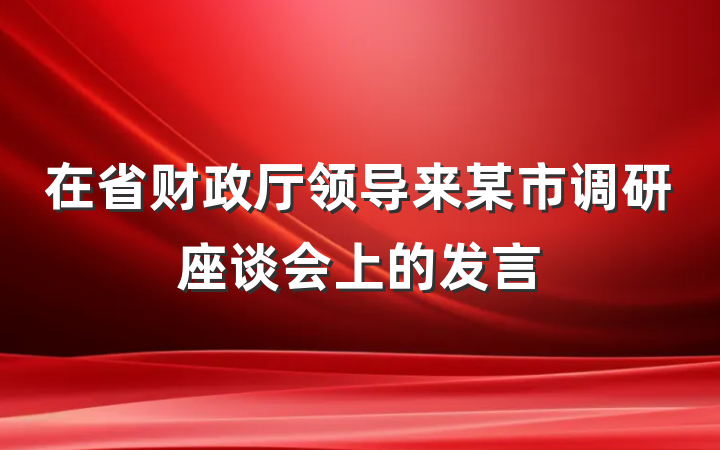 在省财政厅领导来某市调研座谈会上的发言