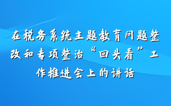 在税务系统主题教育问题整改和专项整治“回头看”工作推进会上的讲话