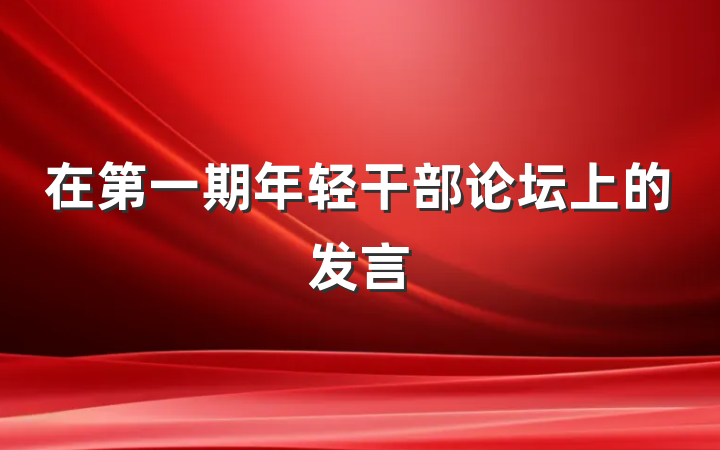 在第一期年轻干部论坛上的发言