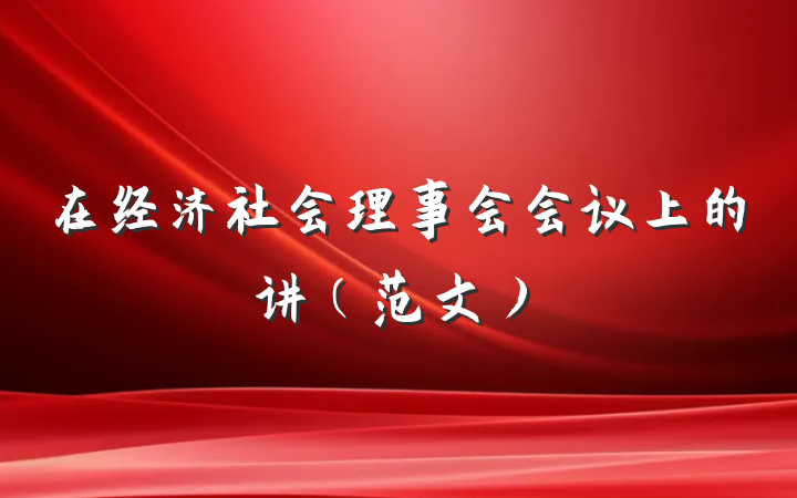 在经济社会理事会会议上的讲(范文)