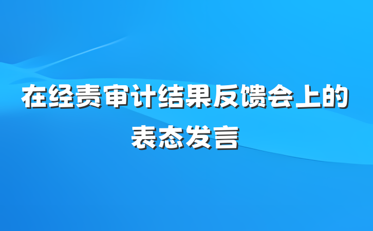 在经责审计结果反馈会上的表态发言