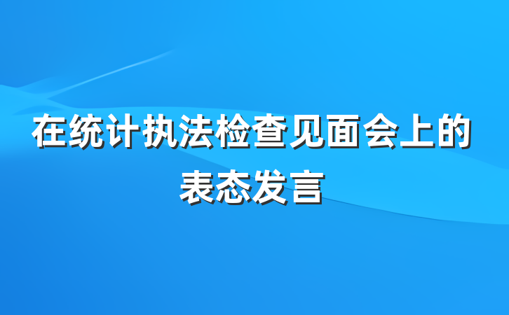 在统计执法检查见面会上的表态发言