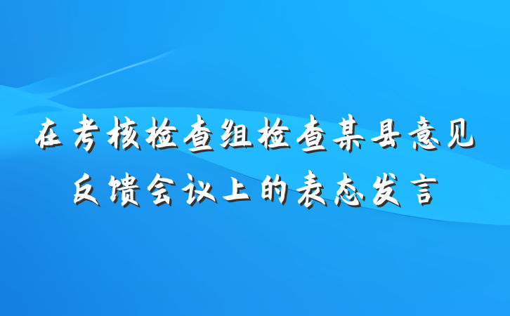 在考核检查组检查某县意见反馈会议上的表态发言