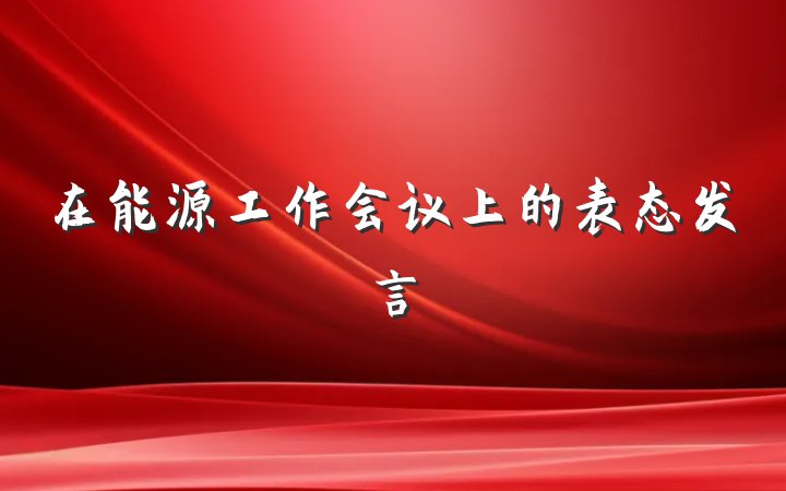 在能源工作会议上的表态发言