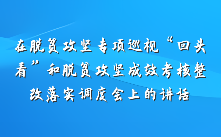 在脱贫攻坚专项巡视“回头看”和脱贫攻坚成效考核整改落实调度会上的讲话