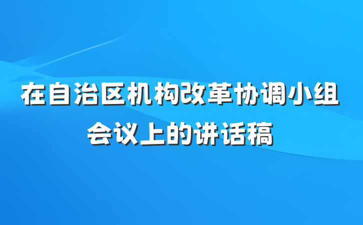 在自治区机构改革协调小组会议上的讲话稿