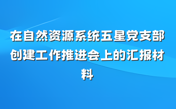 在自然资源系统五星党支部创建工作推进会上的汇报材料