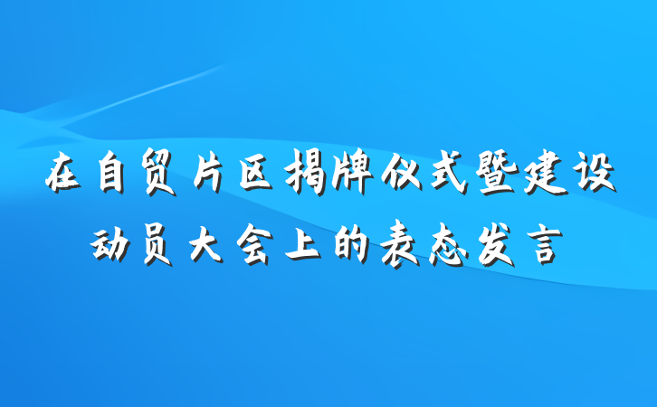 在自贸片区揭牌仪式暨建设动员大会上的表态发言