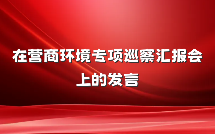 在营商环境专项巡察汇报会上的发言