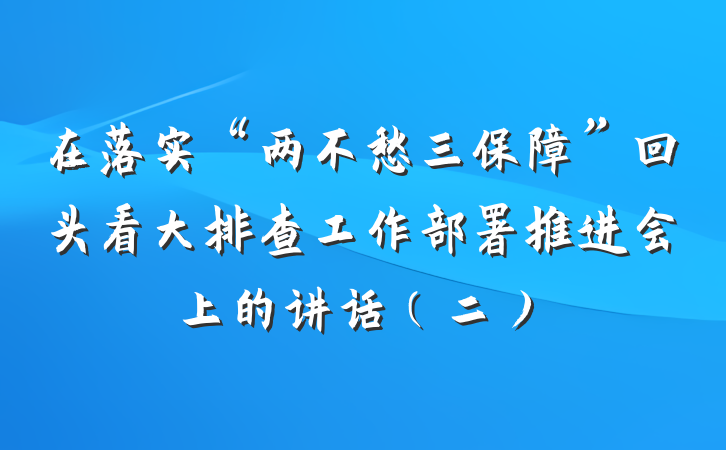 在落实“两不愁三保障”回头看大排查工作部署推进会上的讲话（二）