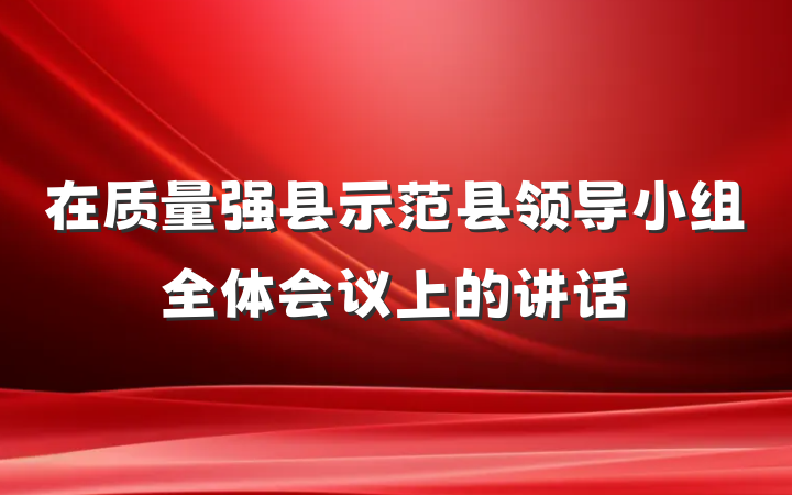 在质量强县示范县领导小组全体会议上的讲话