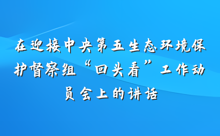 在迎接中央第五生态环境保护督察组“回头看”工作动员会上的讲话