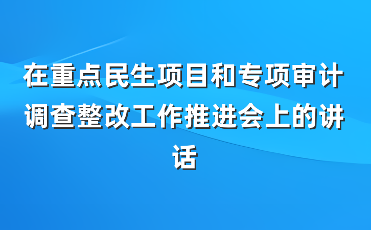 在重点民生项目和专项审计调查整改工作推进会上的讲话