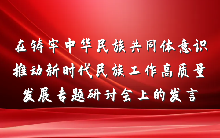 在铸牢中华民族共同体意识推动新时代民族工作高质量发展专题研讨会上的发言