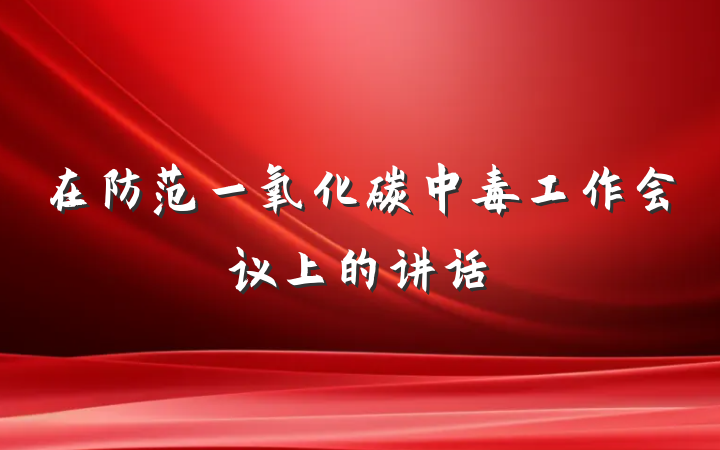 在防范一氧化碳中毒工作会议上的讲话