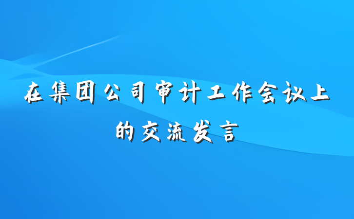 在集团公司审计工作会议上的交流发言