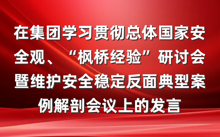 在集团学习贯彻总体国家安全观、“枫桥经验”研讨会暨维护安全稳定反面典型案例解剖会议上的发言