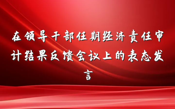 在领导干部任期经济责任审计结果反馈会议上的表态发言