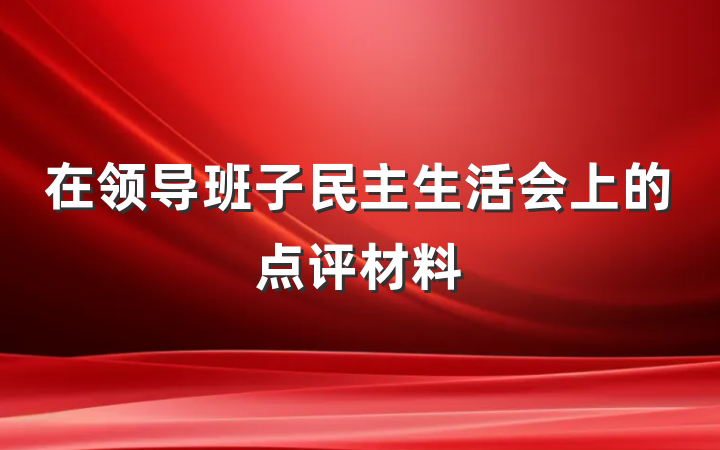在领导班子民主生活会上的点评材料