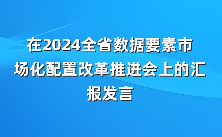 在2024全省数据要素市场化配置改革推进会上的汇报发言