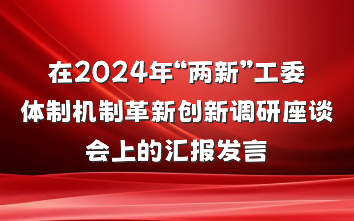 在2024年“两新”工委体制机制革新创新调研座谈会上的汇报发言