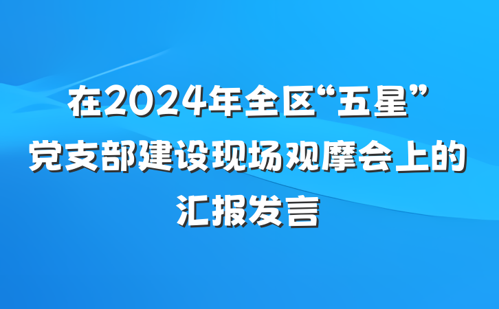 在2024年全区“五星”党支部建设现场观摩会上的汇报发言