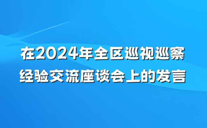 在2024年全区巡视巡察经验交流座谈会上的发言