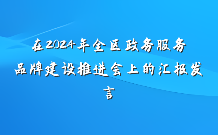 在2024年全区政务服务品牌建设推进会上的汇报发言