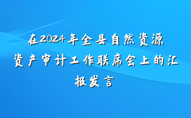 在2024年全县自然资源资产审计工作联席会上的汇报发言
