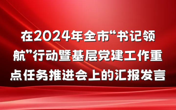 在2024年全市“书记领航”行动暨基层党建工作重点任务推进会上的汇报发言