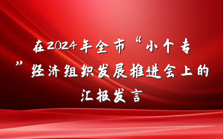 在2024年全市“小个专”经济组织发展推进会上的汇报发言
