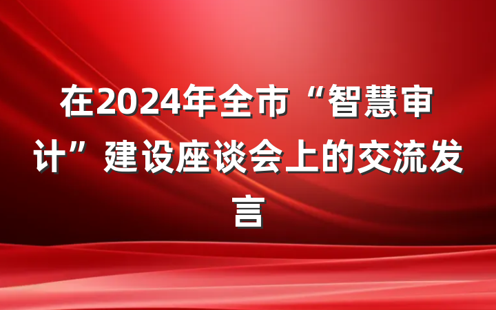 在2024年全市“智慧审计”建设座谈会上的交流发言