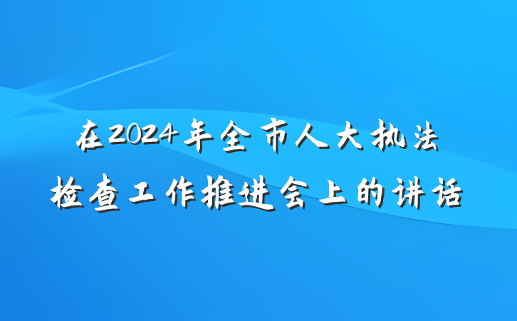 在2024年全市人大执法检查工作推进会上的讲话