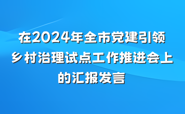 在2024年全市党建引领乡村治理试点工作推进会上的汇报发言