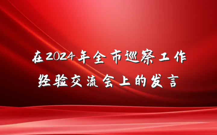 在2024年全市巡察工作经验交流会上的发言