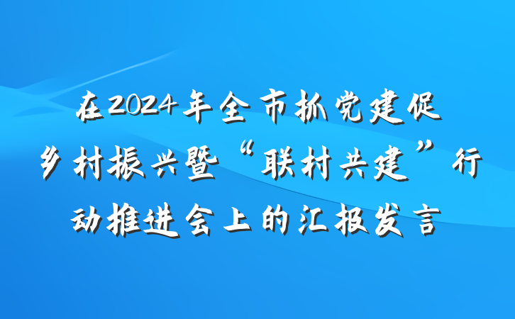 在2024年全市抓党建促乡村振兴暨“联村共建”行动推进会上的汇报发言