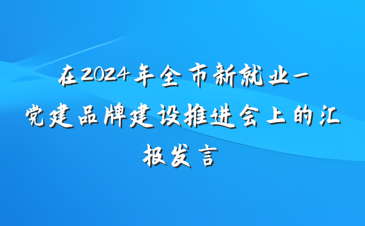 在2024年全市新就业_党建品牌建设推进会上的汇报发言