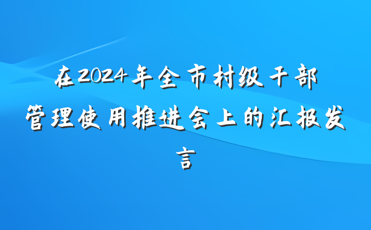 在2024年全市村级干部管理使用推进会上的汇报发言