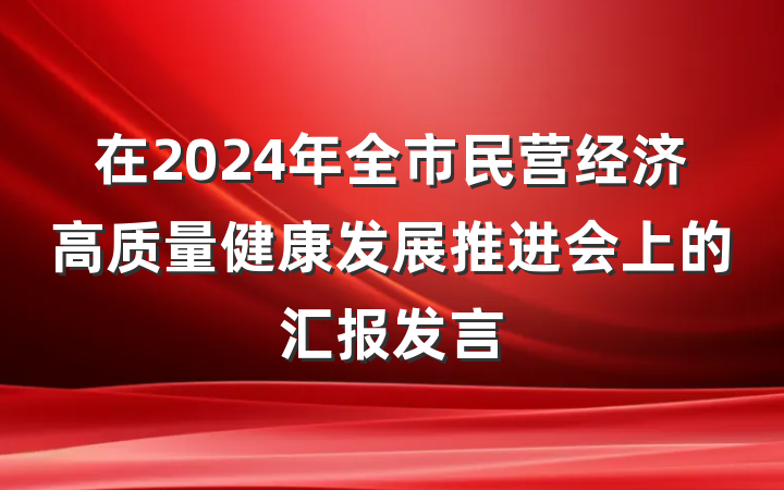 在2024年全市民营经济高质量健康发展推进会上的汇报发言