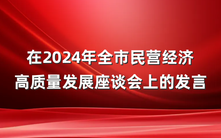 在2024年全市民营经济高质量发展座谈会上的发言