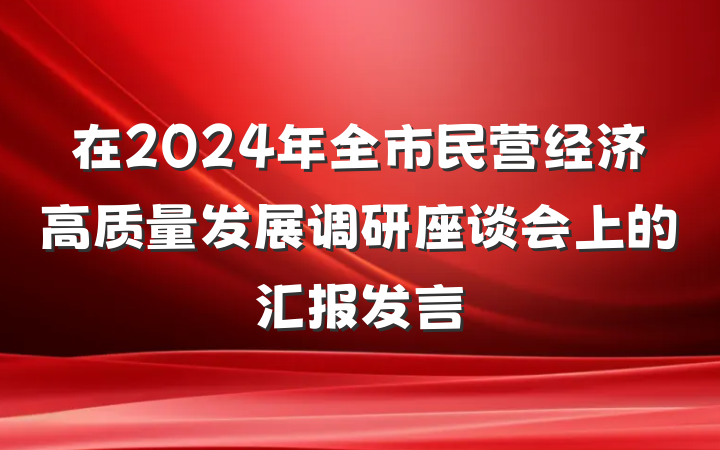 在2024年全市民营经济高质量发展调研座谈会上的汇报发言