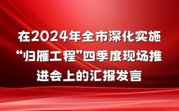 在2024年全市深化实施“归雁工程”四季度现场推进会上的汇报发言