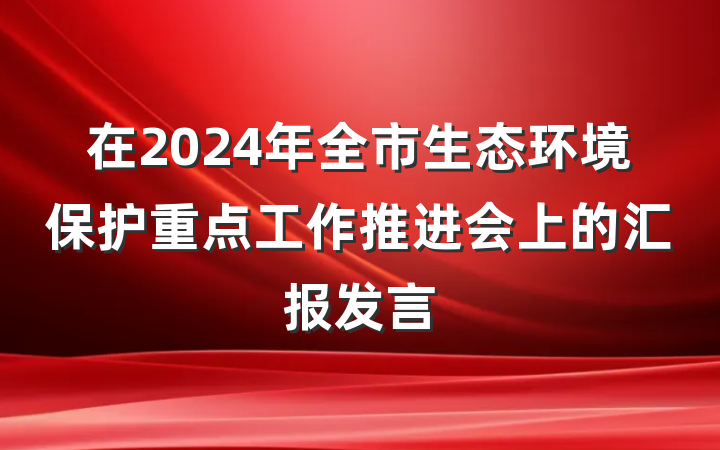 在2024年全市生态环境保护重点工作推进会上的汇报发言