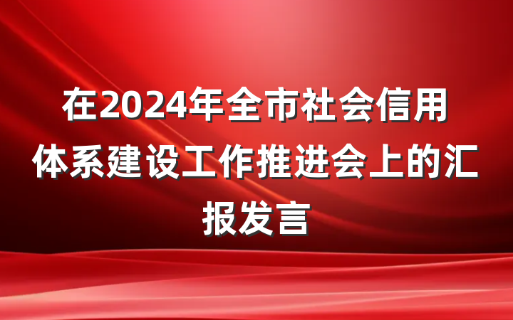 在2024年全市社会信用体系建设工作推进会上的汇报发言