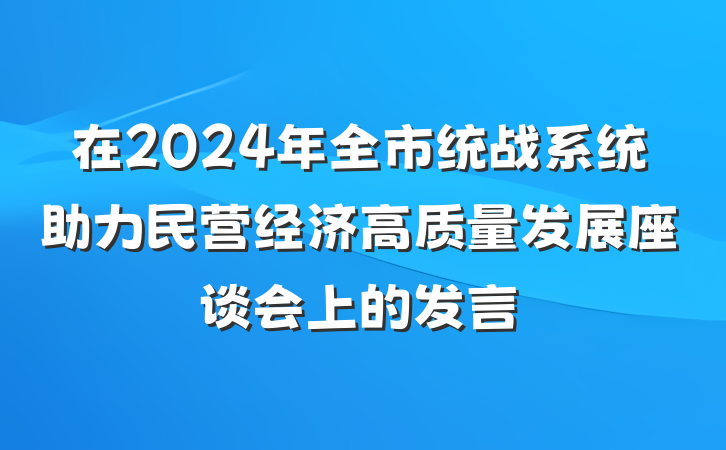 在2024年全市统战系统助力民营经济高质量发展座谈会上的发言