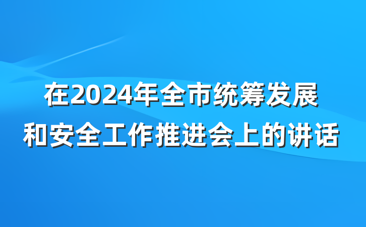 在2024年全市统筹发展和安全工作推进会上的讲话