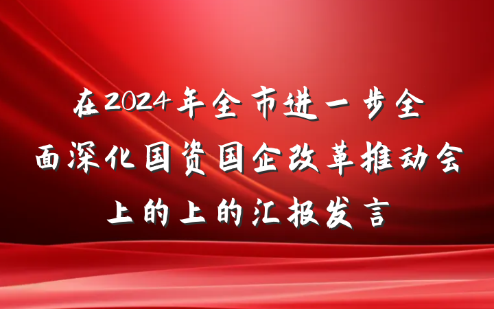 在2024年全市进一步全面深化国资国企改革推动会上的上的汇报发言